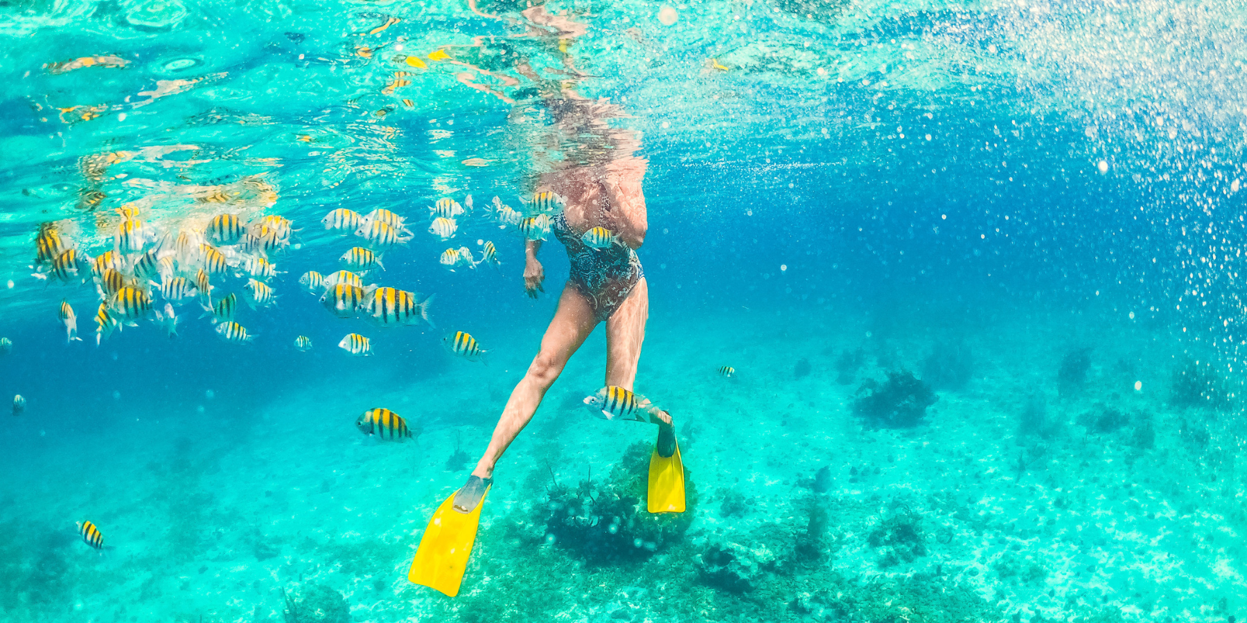 snorkeling with fishes