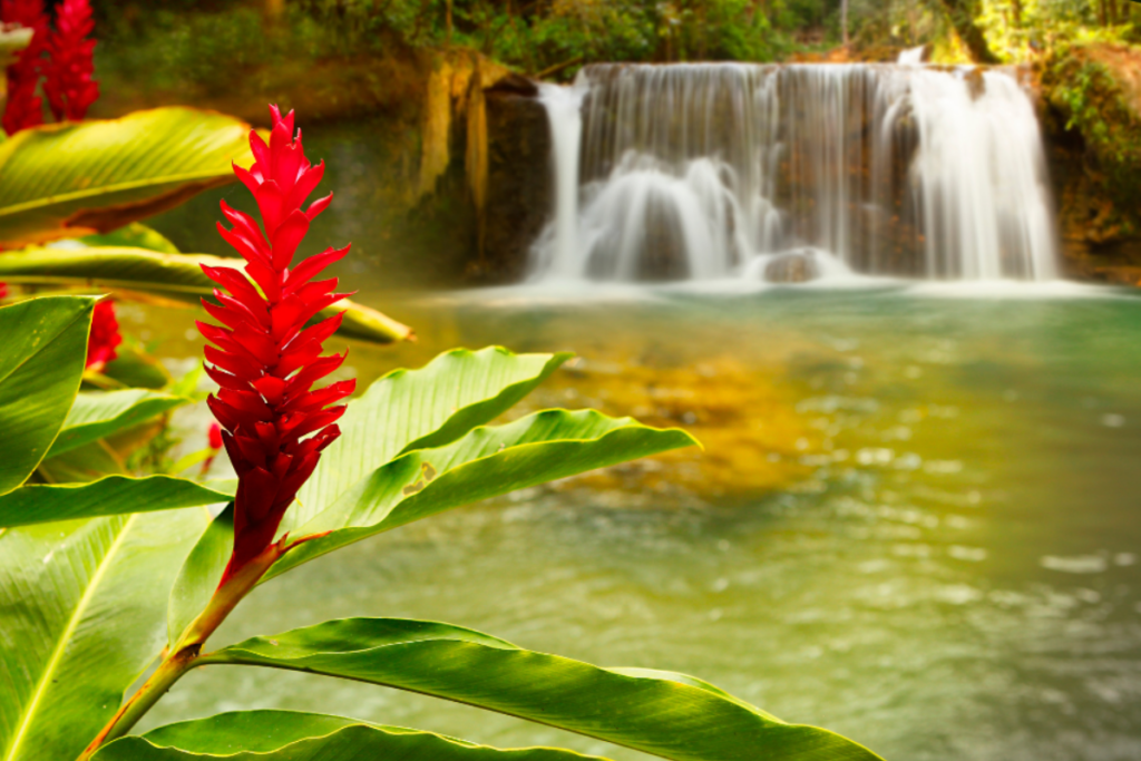 jamaica parks waterfall