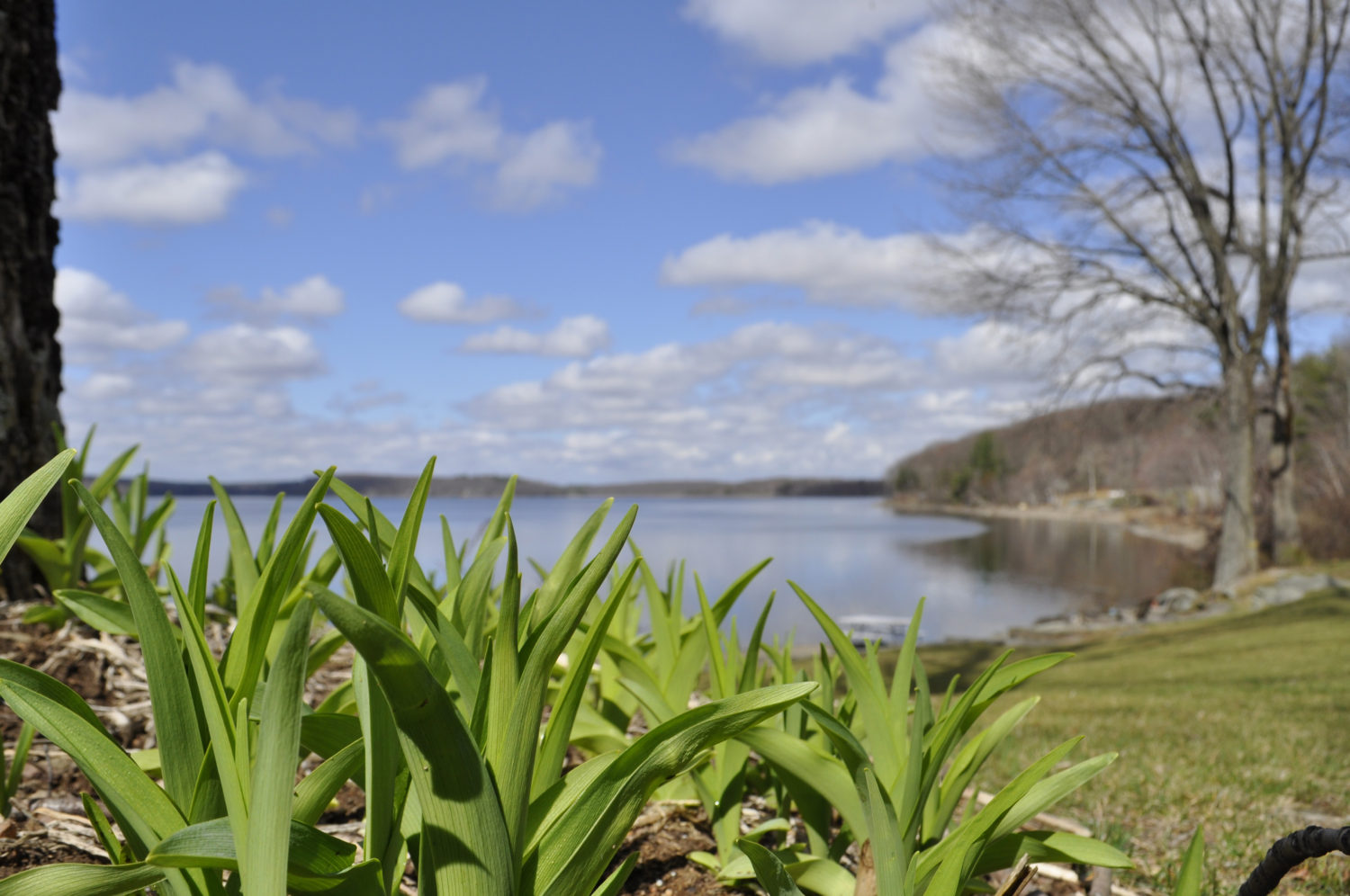 5 Reasons to Plan a Poconos Spring Break
