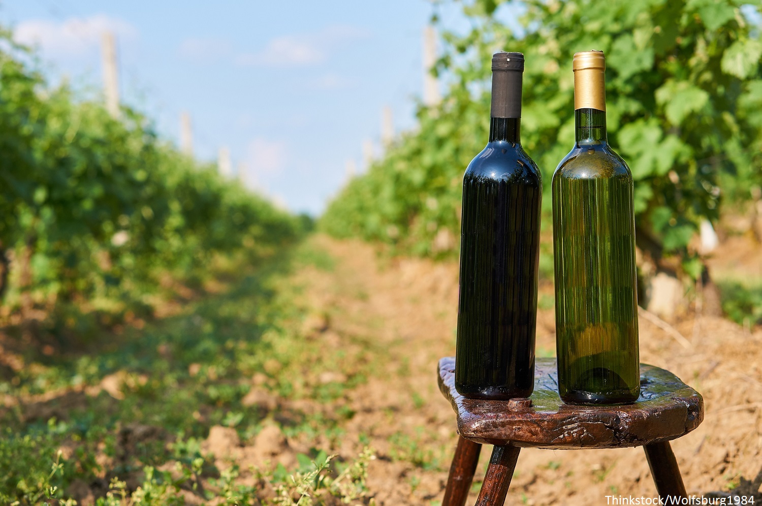 The Top 3 Poconos Wineries You Need to Visit