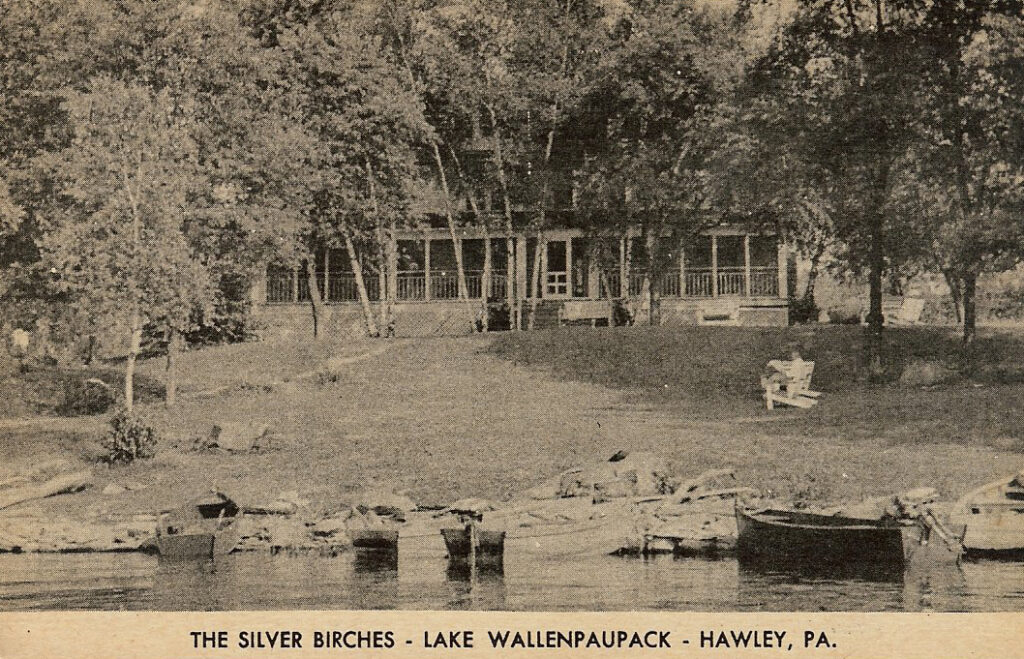 Silver Birches Postcard