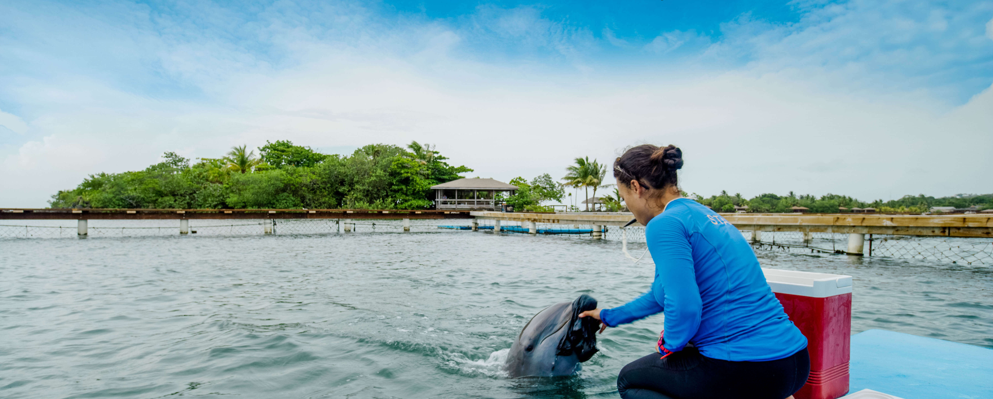 Internship Opportunities