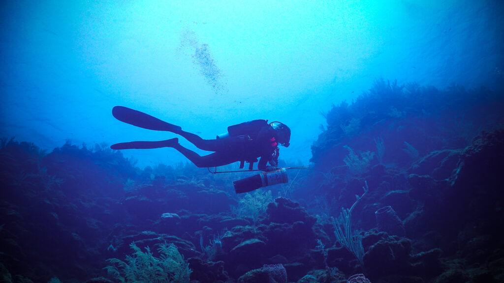 Roatan Lionfish Hunting