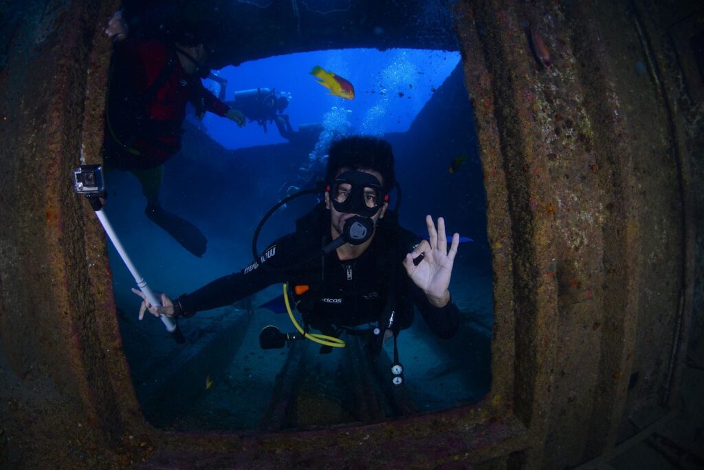 dive, blue, nature-1849535.jpg