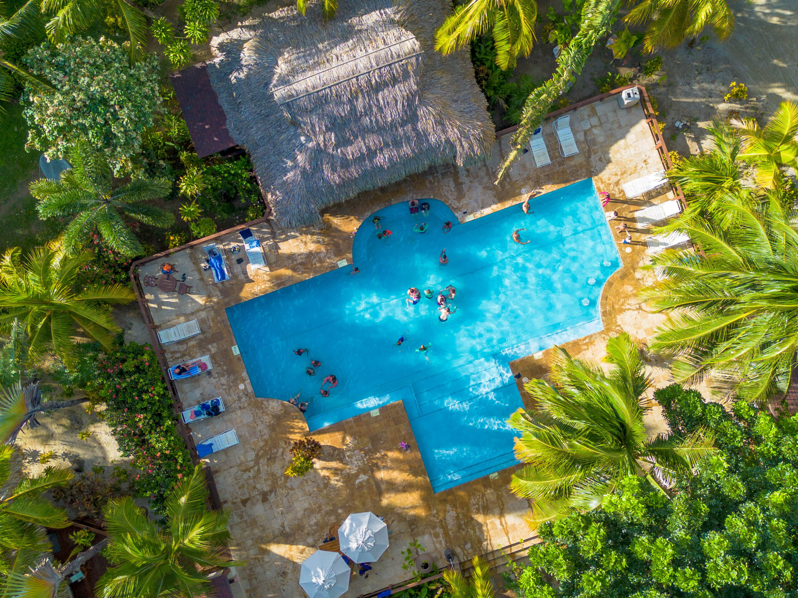 Aerial view of the pool at Anthony's Key Resort. Surrounded by palm trees as seen from overhead,