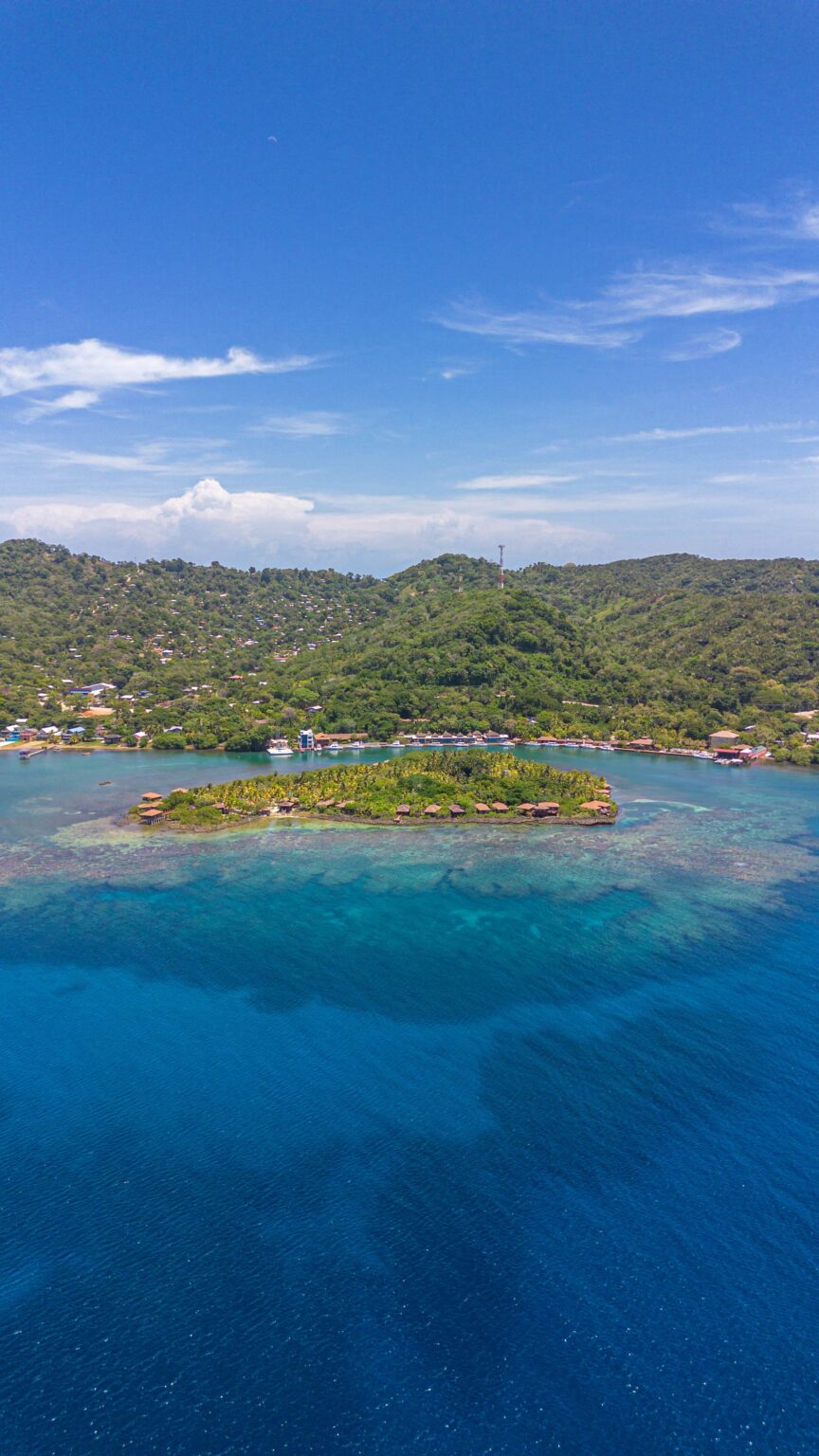 The Best Roatan Dive Sites | Anthony’s Key Resort