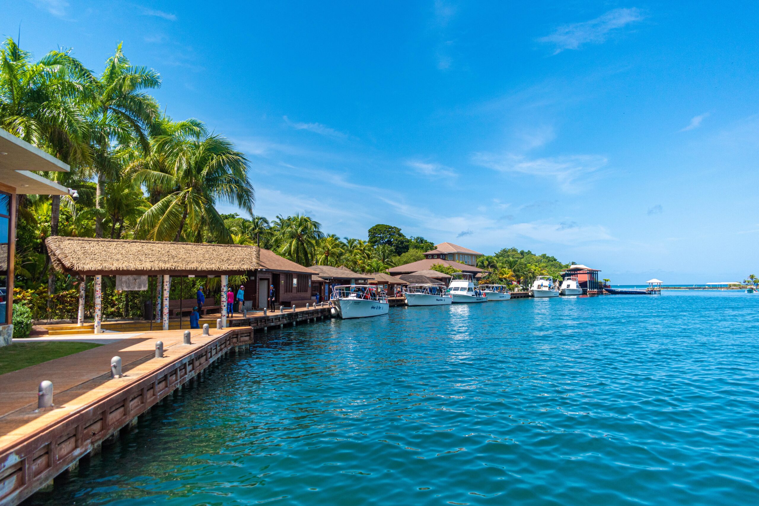 Roatan Diving
