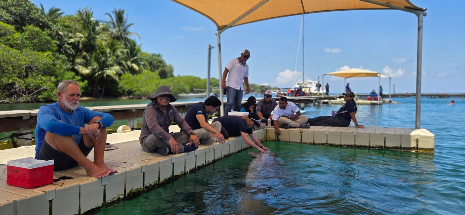 RIMS Joins National Effort to Protect the Caribbean Manatee in Honduras