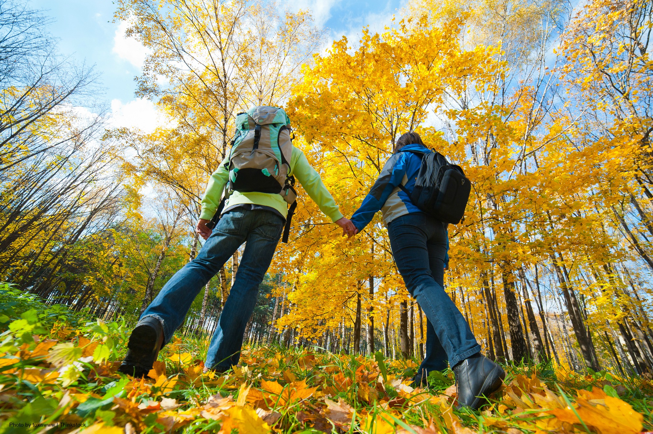 Your Guide to Fall Hiking Trips in PA