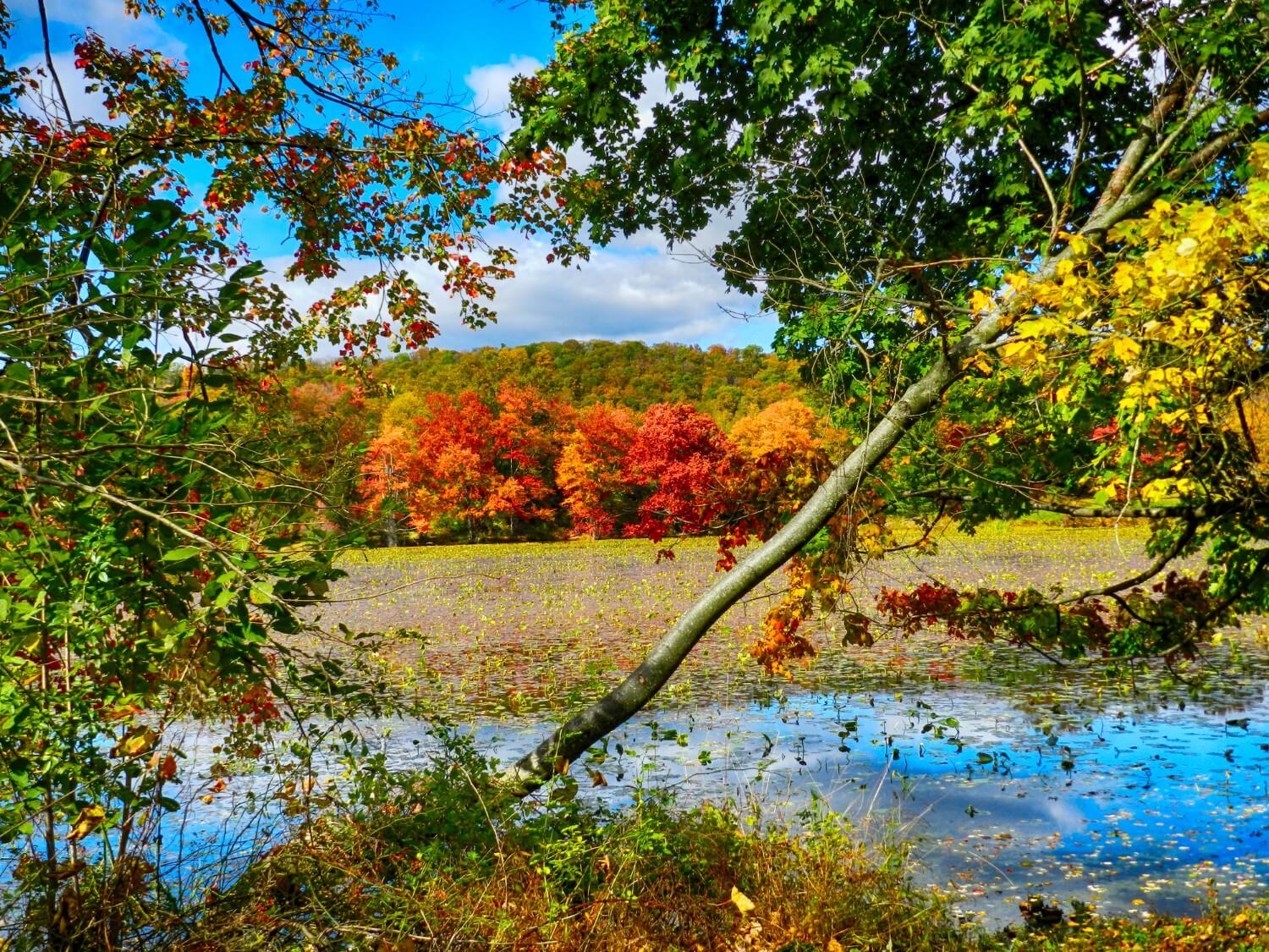 Our Favorite Things to Do in the Poconos in the Fall