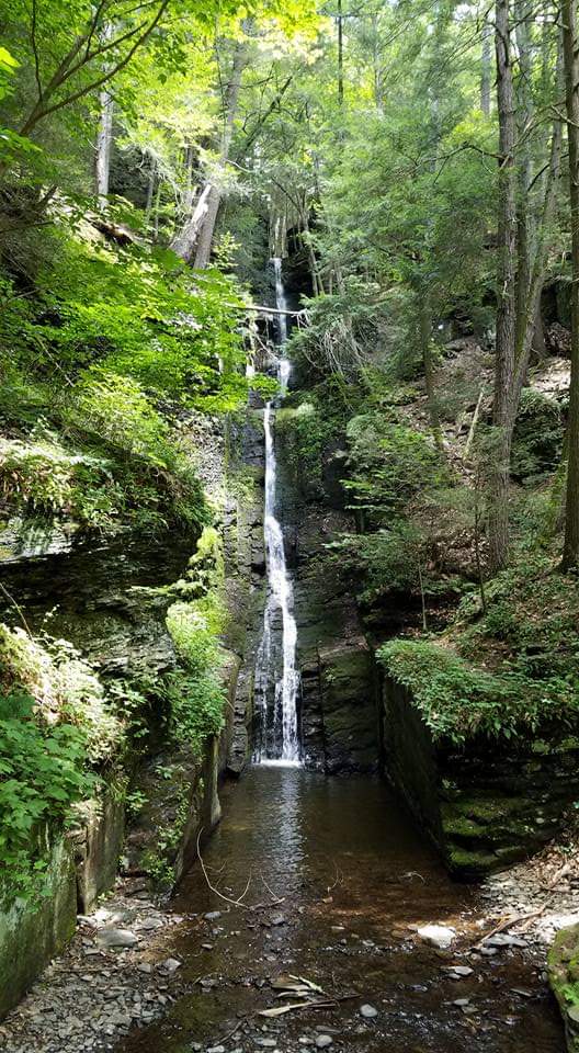 waterfall in forest