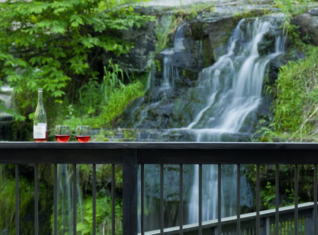 glasses of wine in front of water fall