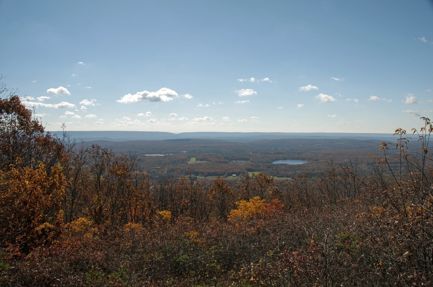 Top 5 Fall Festivals in the Pocono Mountains