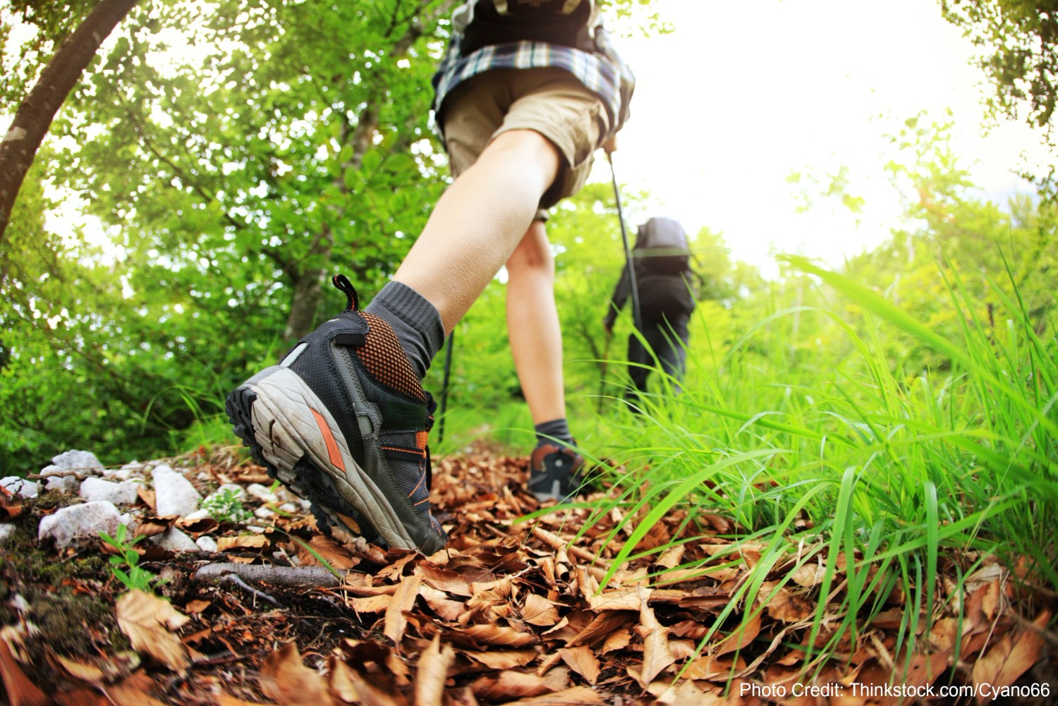 Why You Need to Check out Bushkill Falls Hiking