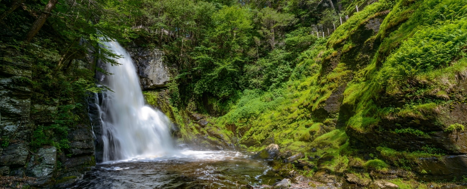 Top 6 Waterfalls in the Poconos for Your Next Adventure