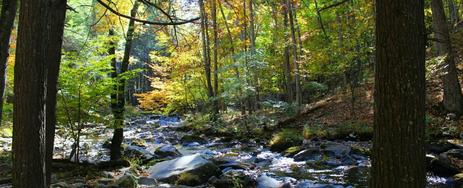 4 Reasons to Plan a Vacation to the Poconos in October
