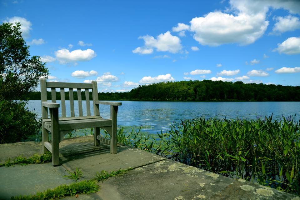 Lacawac Bench on the water