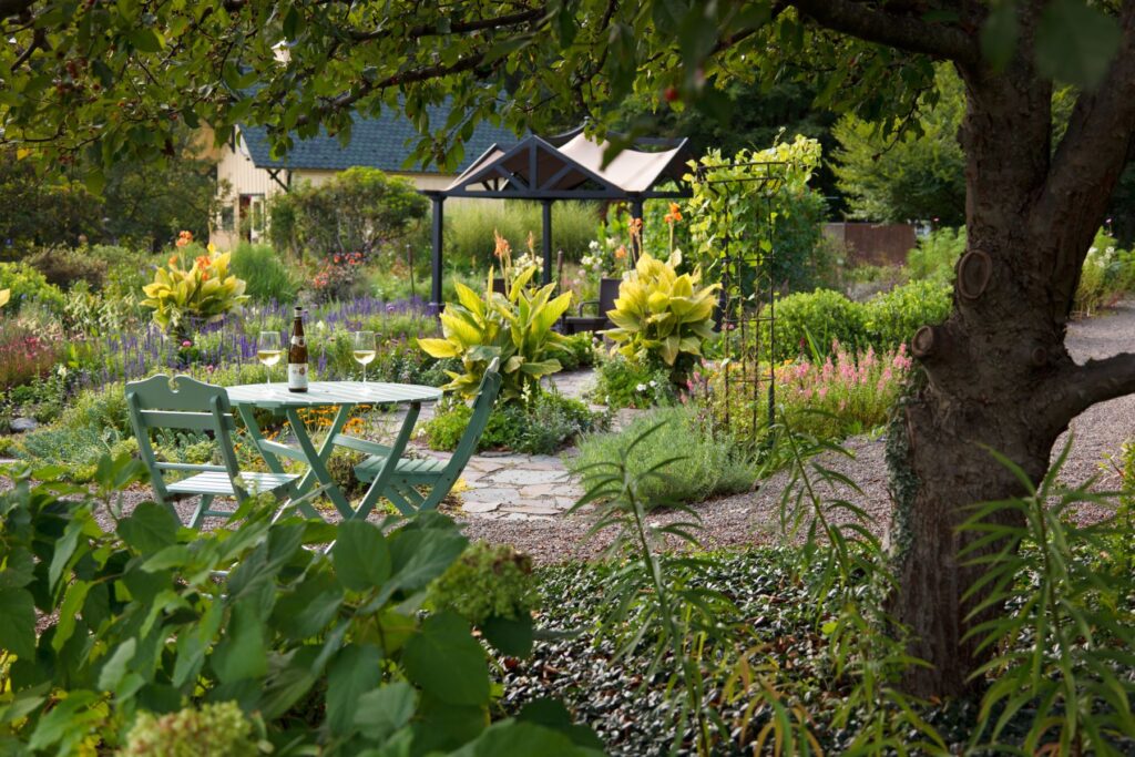 Garden with chairs and wine