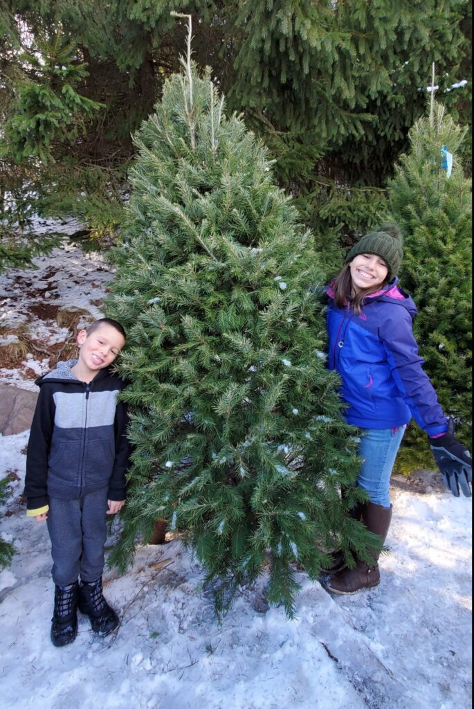 kids with a pine tree christmas