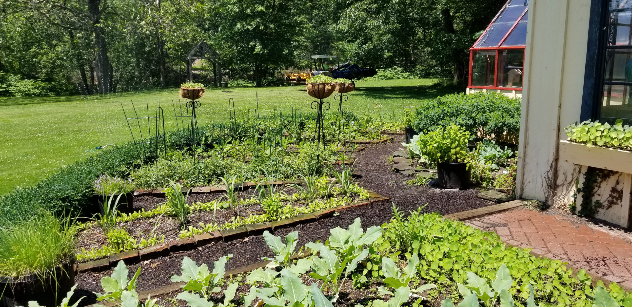 In the Garden with Chef Kate: Tips to Get Growing