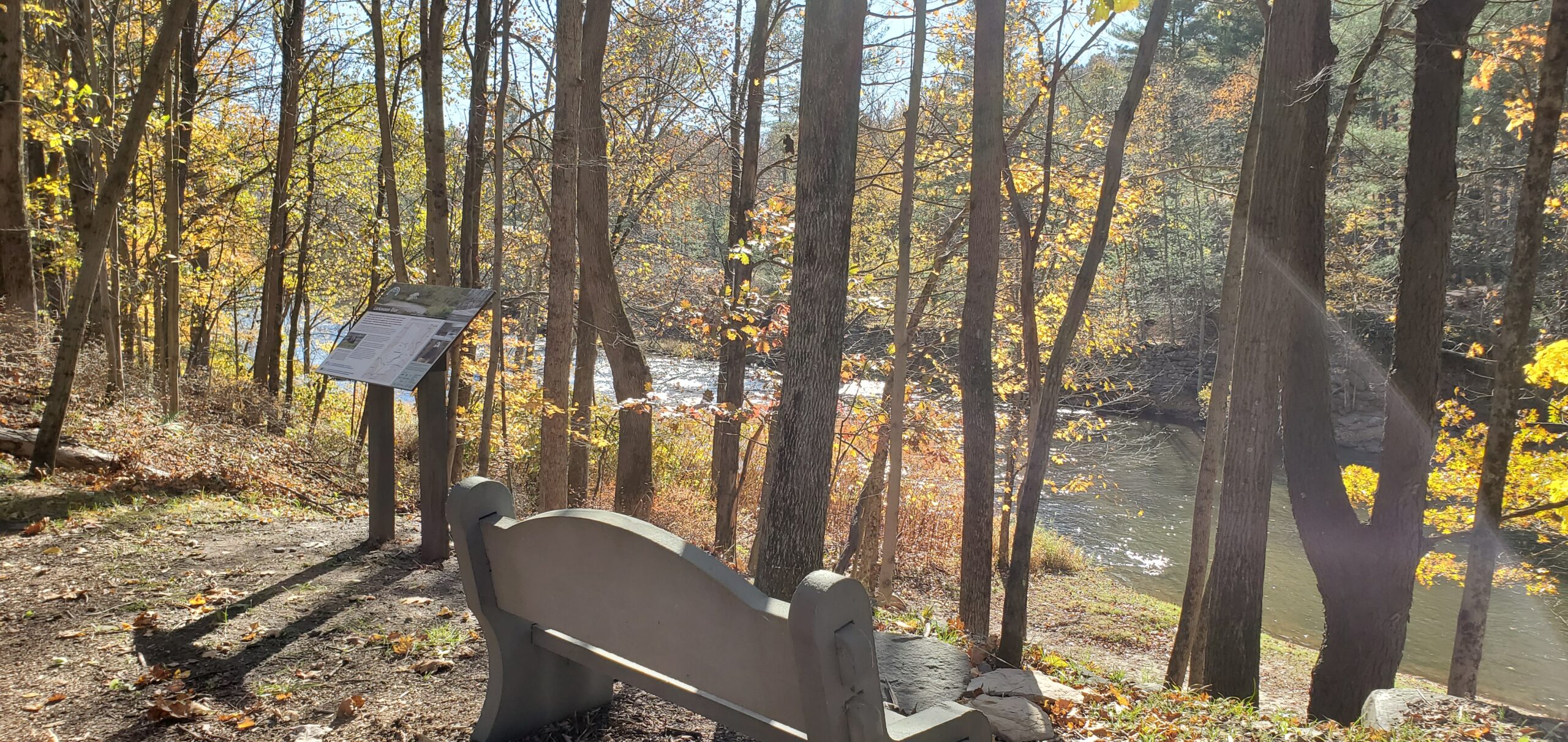 8 Things to Do While Remote Learning from the Poconos