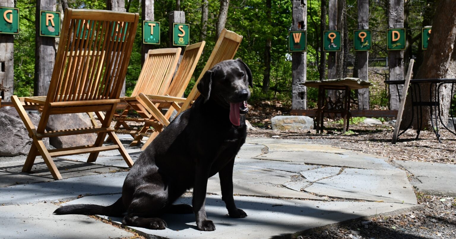 Hawley PA Bed And Breakfast In The Poconos | The Settlers Inn