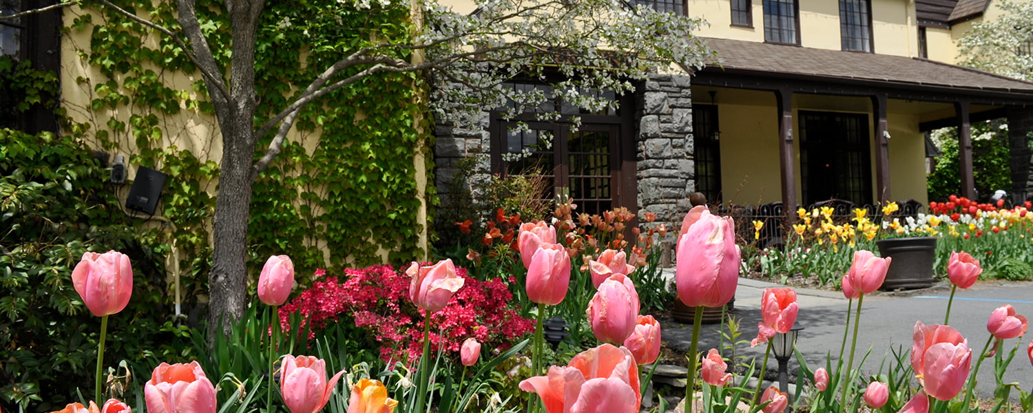Spring tulips at the Inn