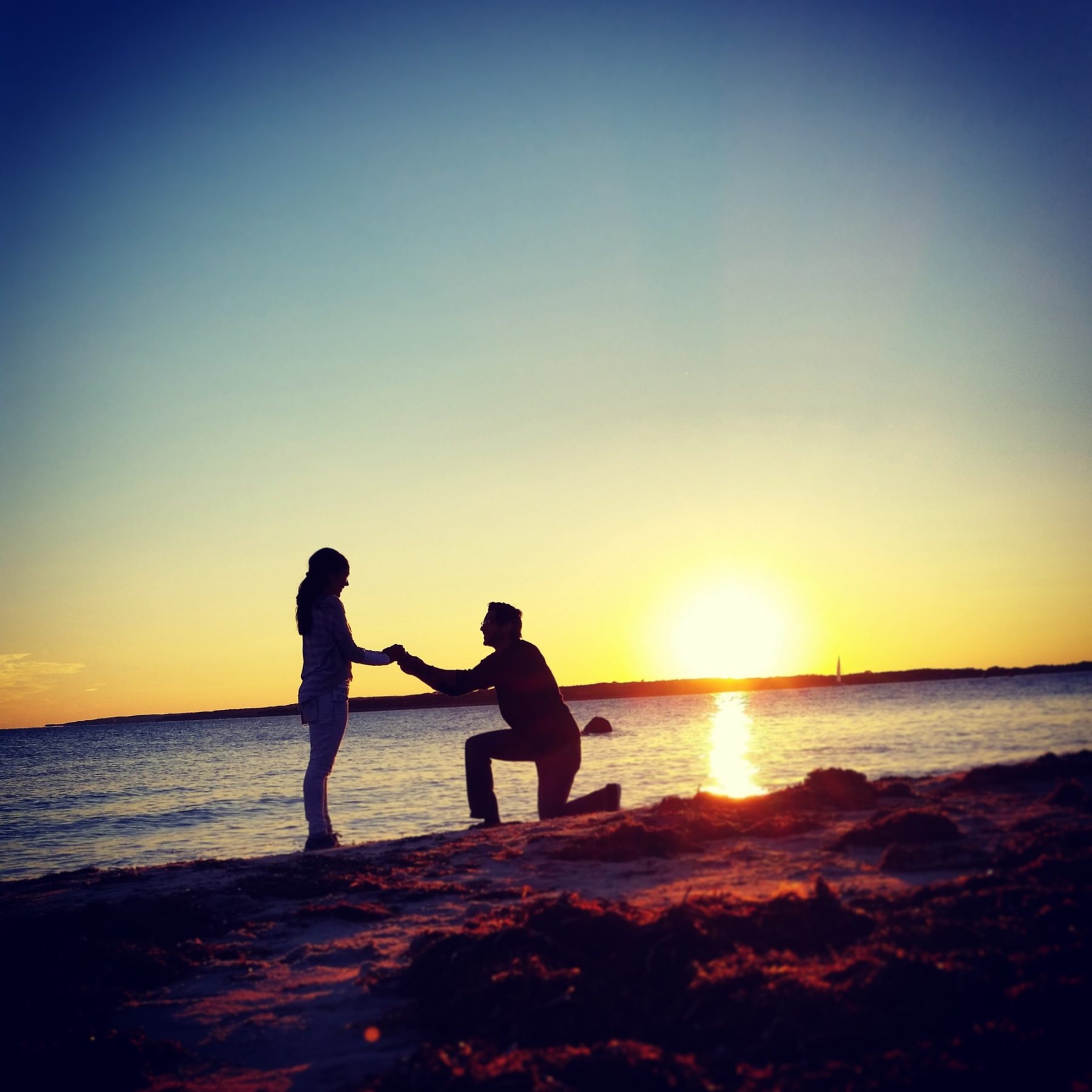Propose at Nobska Beach, or the perfect Cape Cod Proposal