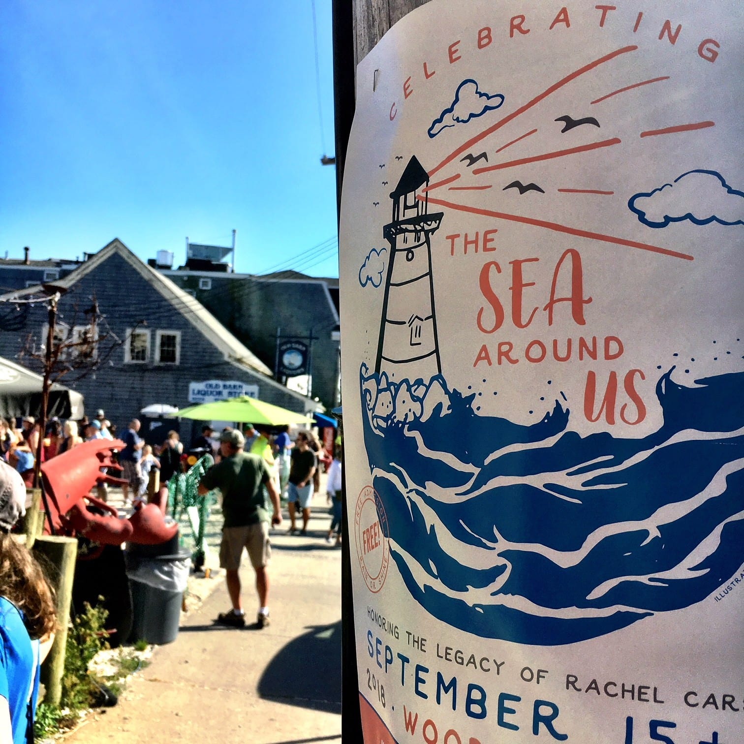 Sea Around Us Weekend celebrating the legacy of Rachel Carson in Woods Hole