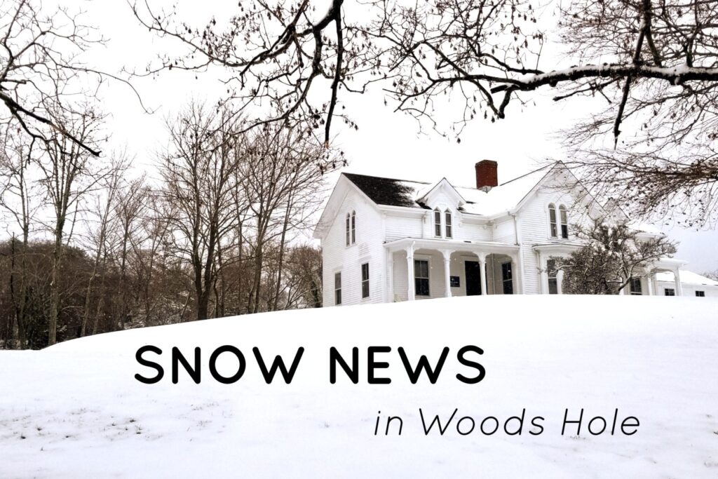 Snow News