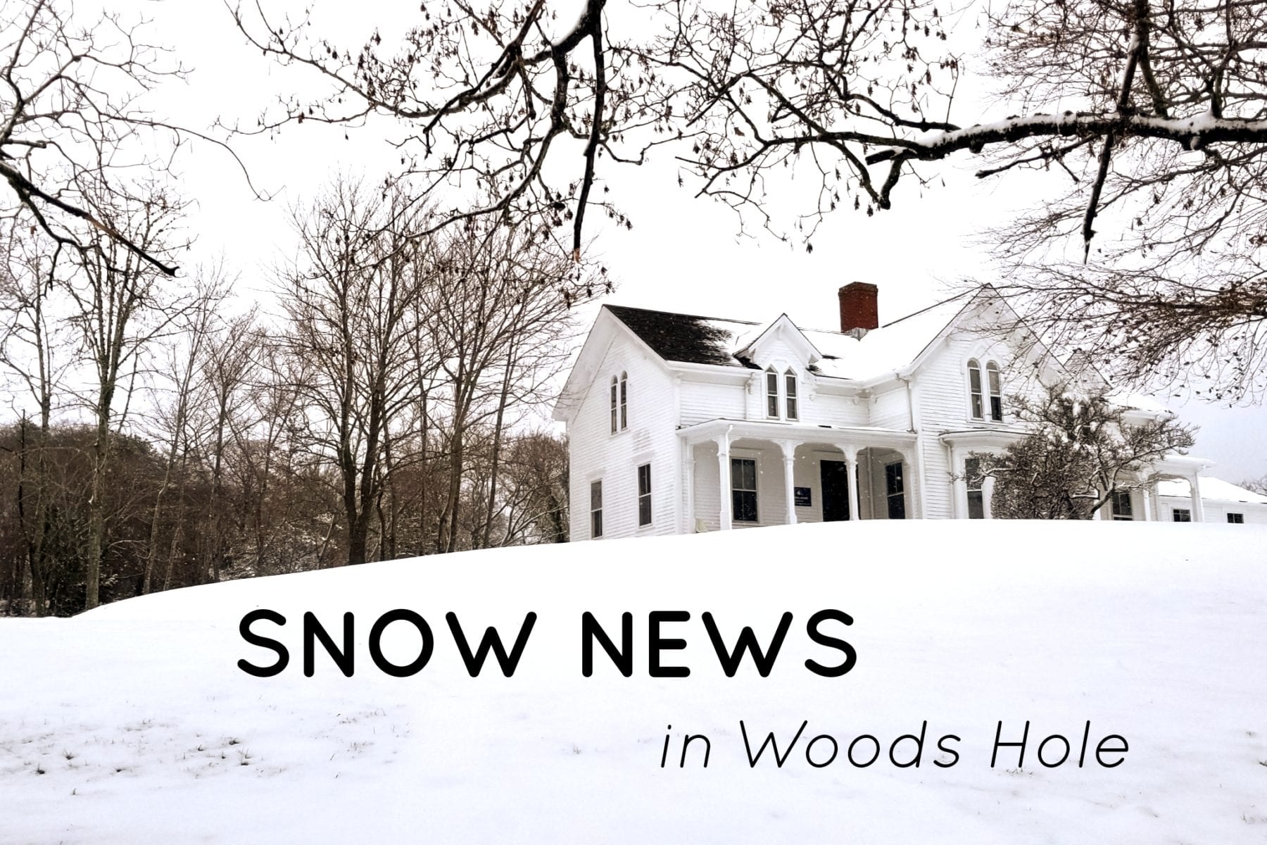 Snow News in the Hole!  December 3rd, 2019 New England Storm brings Cape Cod an early glimpse of winter