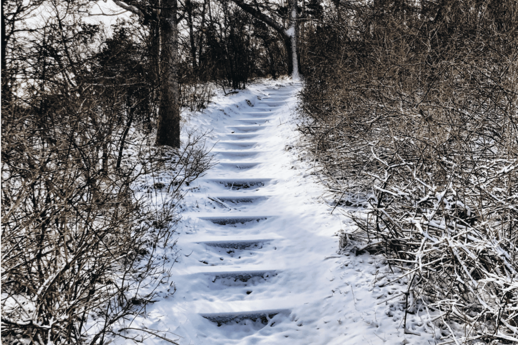 snowy steps
