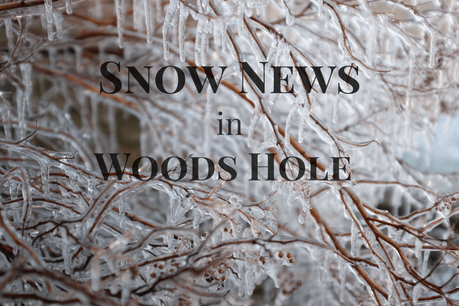 Woods Hole Snow News