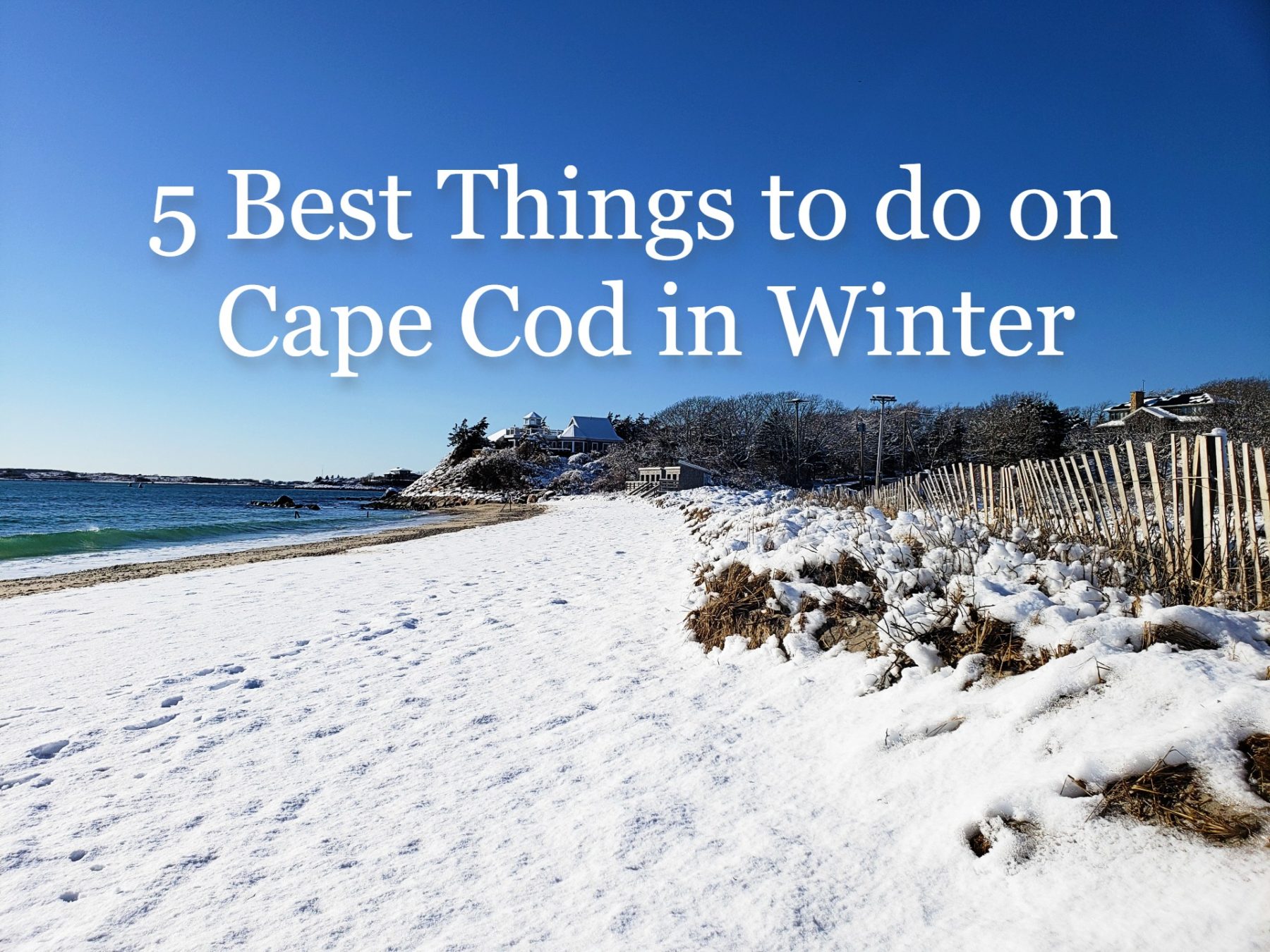 5 Best Things to do on Cape Cod in Winter