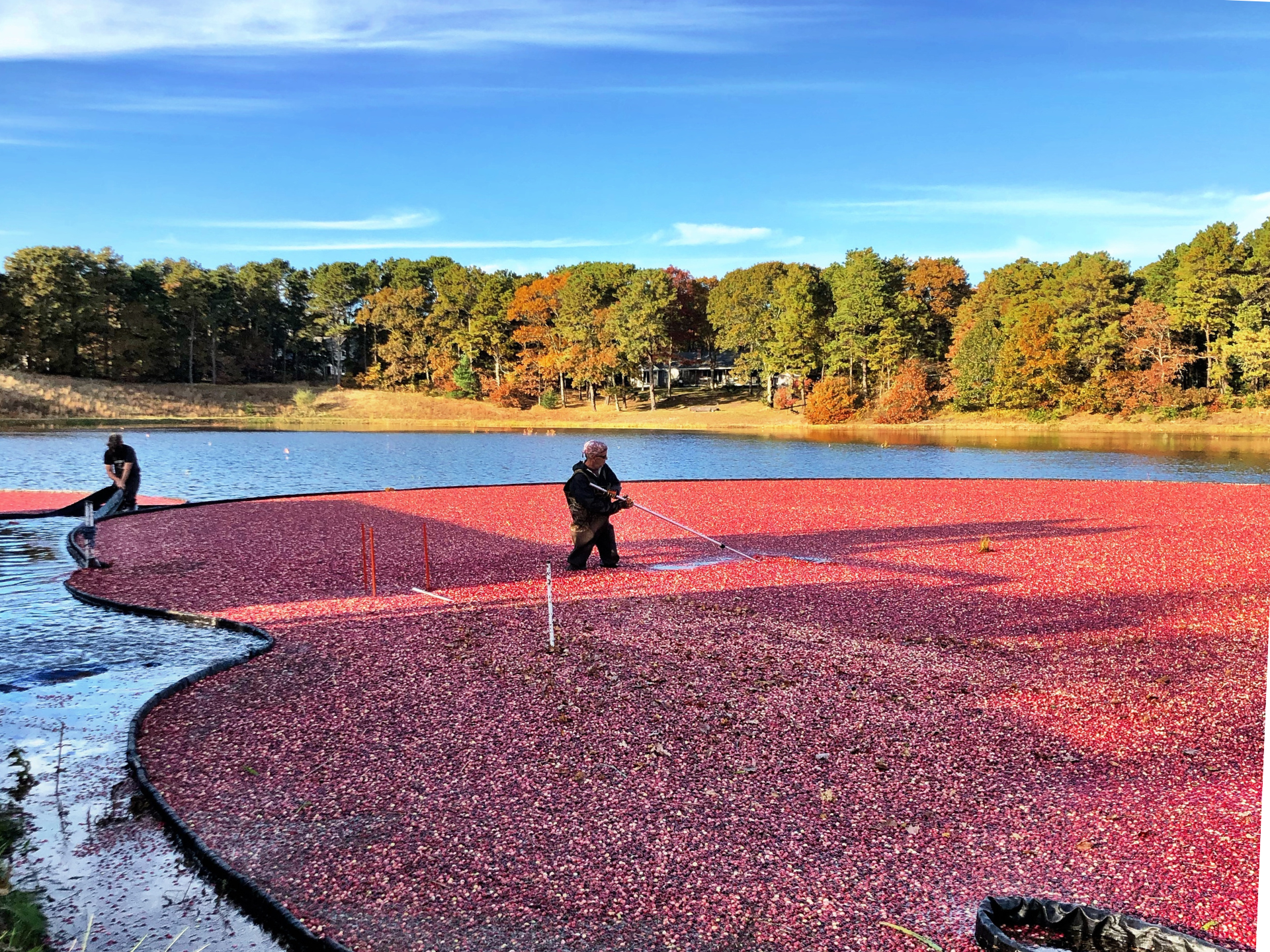 Five Fun Things to Do in the Fall