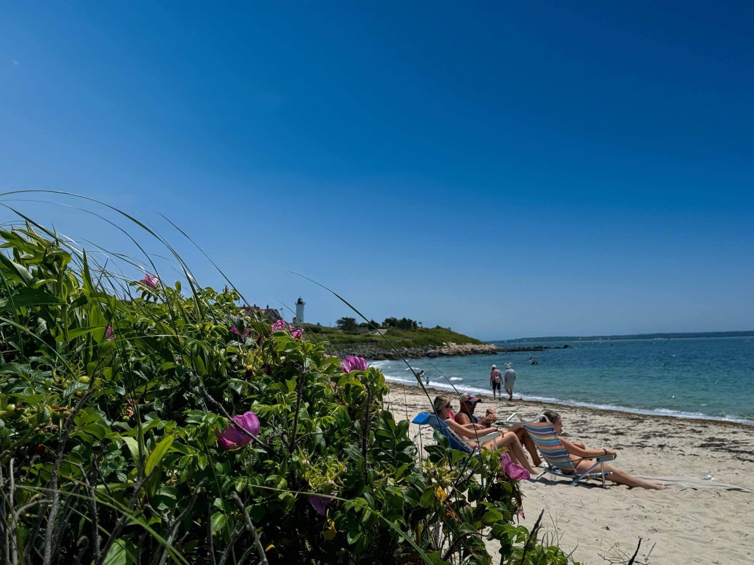 Sun, Sand, and Serenity: Exploring Local Cape Cod Beaches