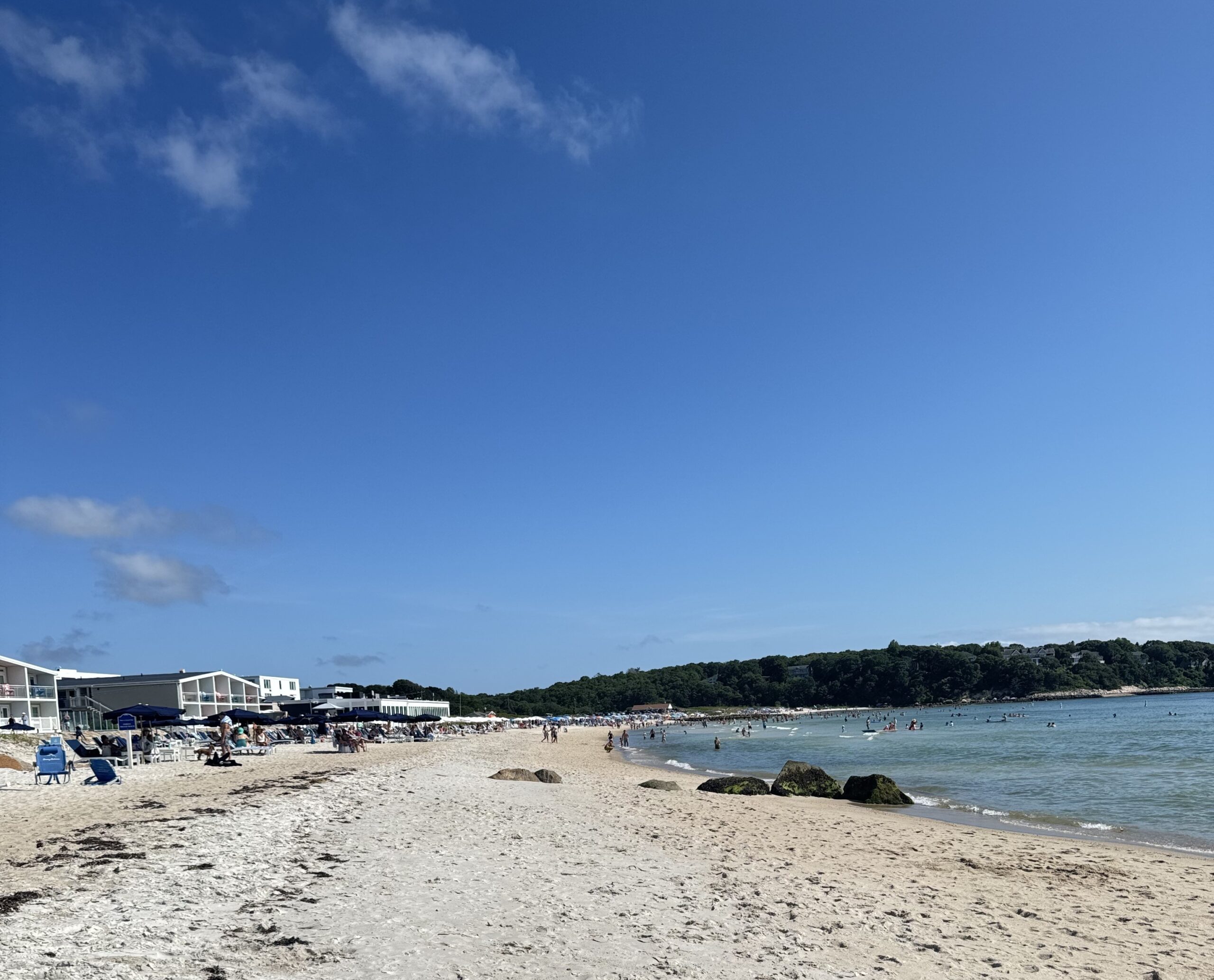 Sun, Sand, and Serenity: Exploring Local Cape Cod Beaches