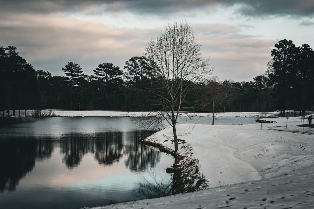 Snow in the South: A Rare and Magical Winter Surprise