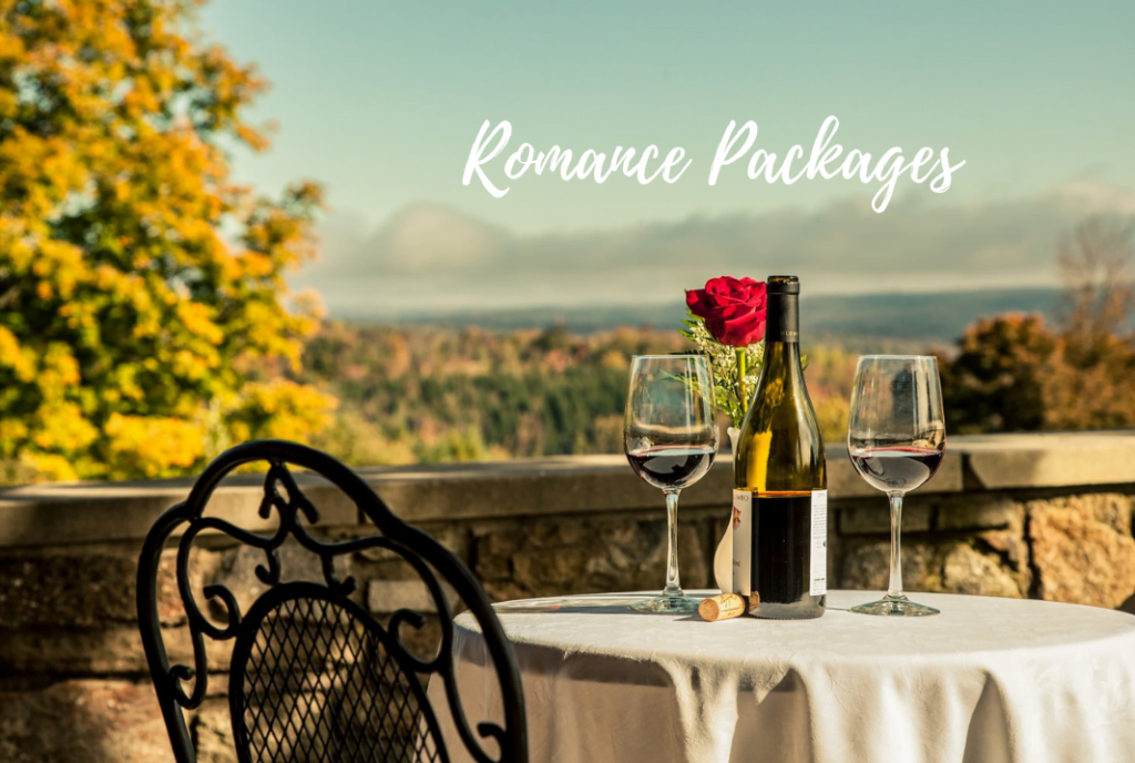 poster for romance packages french manor