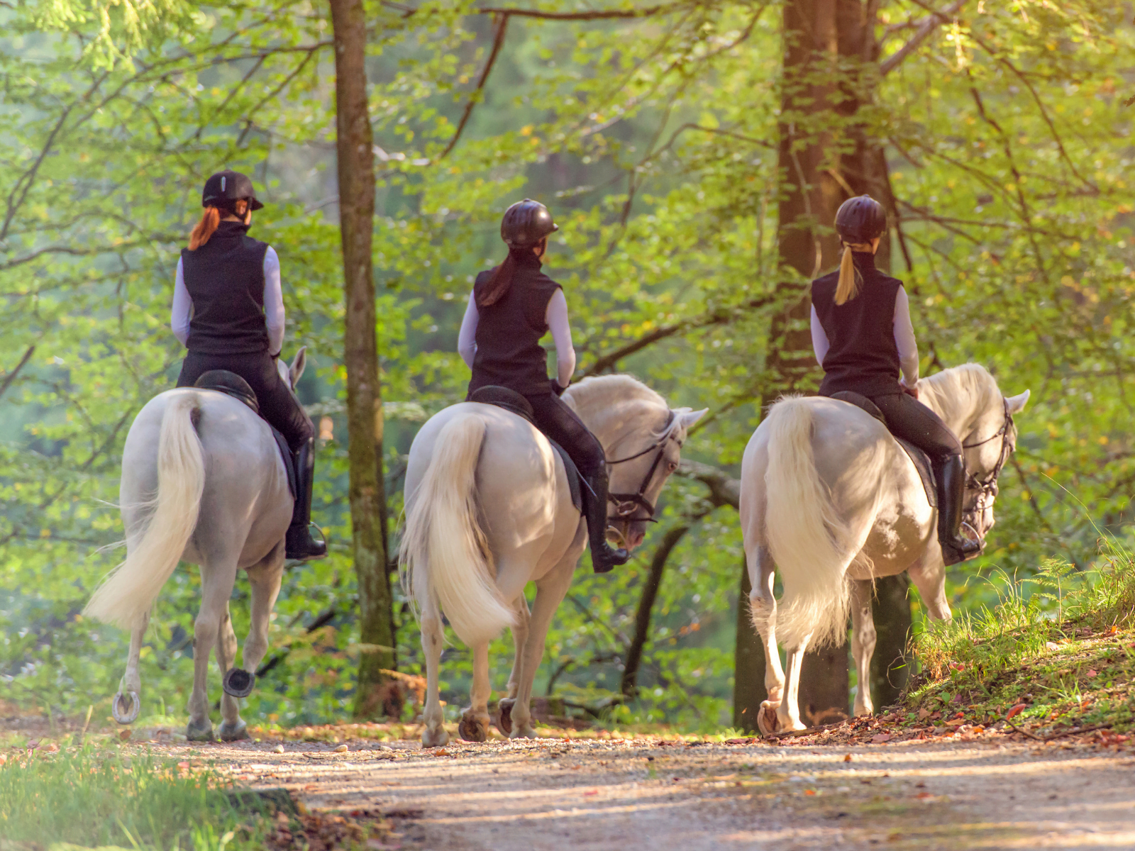 Where to Enjoy the Best Horseback Riding in the Poconos