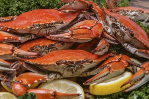 Don’t miss the Chesapeake Crab & Beer Festival