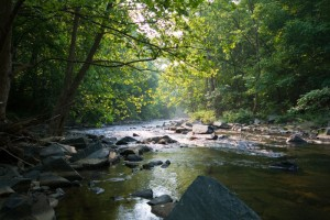 Hiking, Fishing and More at These Patuxent River Parks