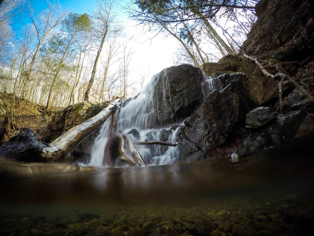 Patapsco Valley State Park Is the Best Summer Day Trip