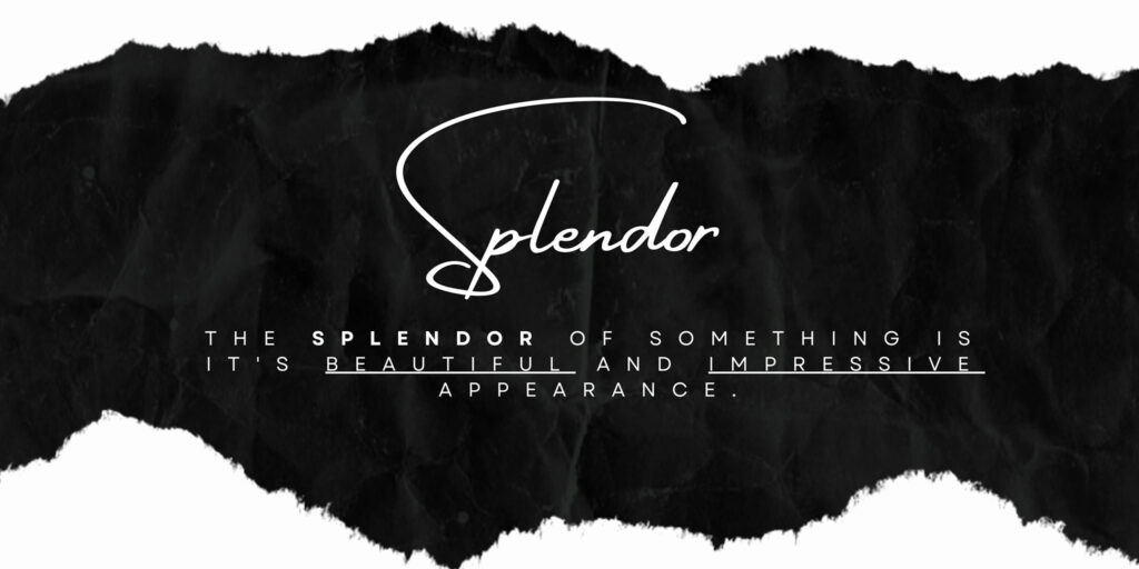 Splendor with Chef Magen