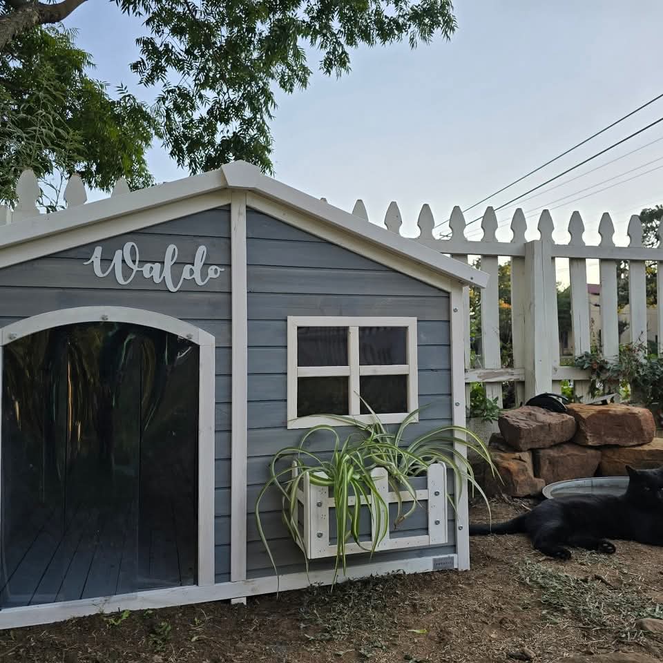 Room 6/Waldo’s House