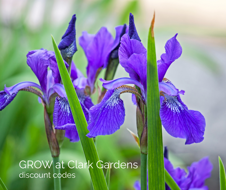 March GROW Festival at Clark Gardens