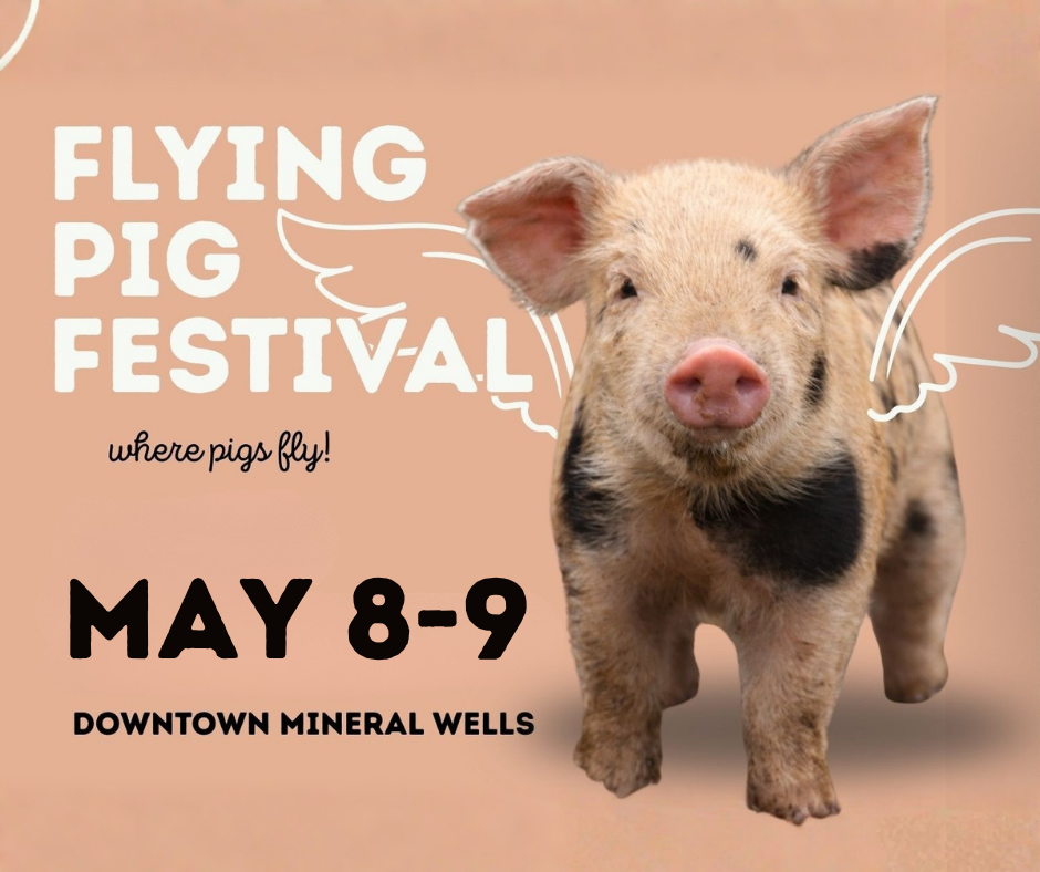 Flying Pig Festival | Magpie Inn