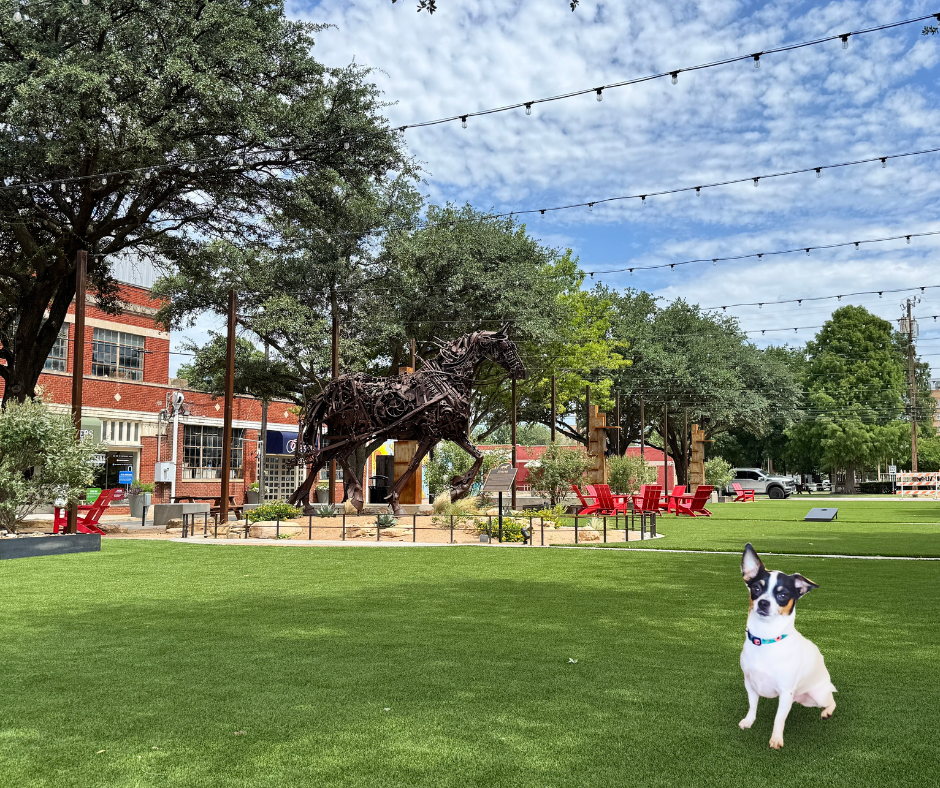 Poston Plaza Mineral Wells Texas