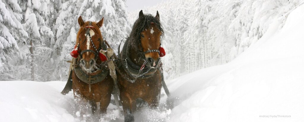 Sleigh ride
