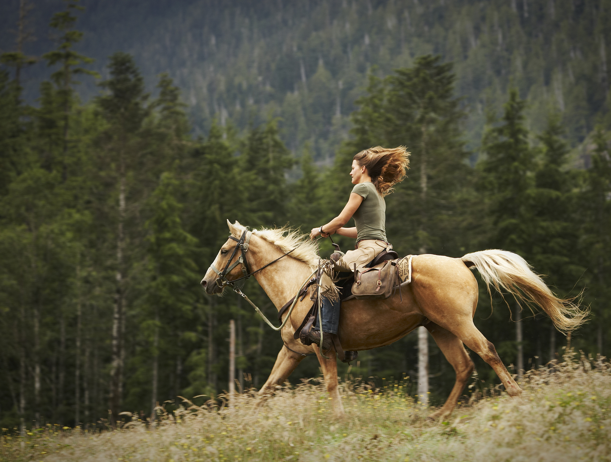 Woman riding horse through field